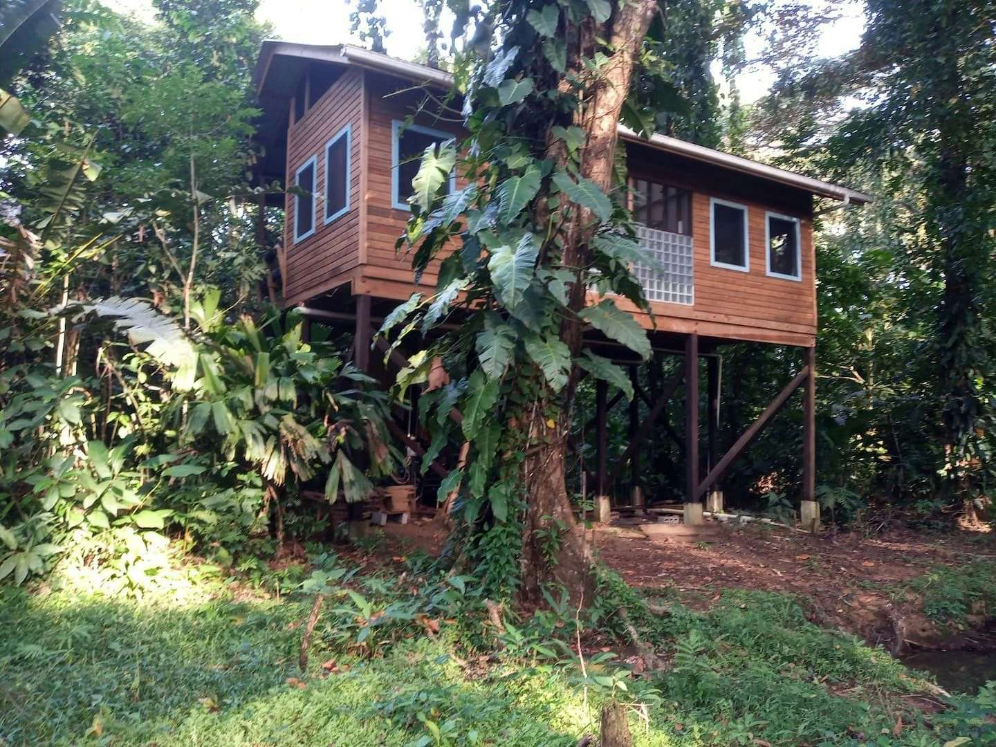 Jungle Paunch Cabins