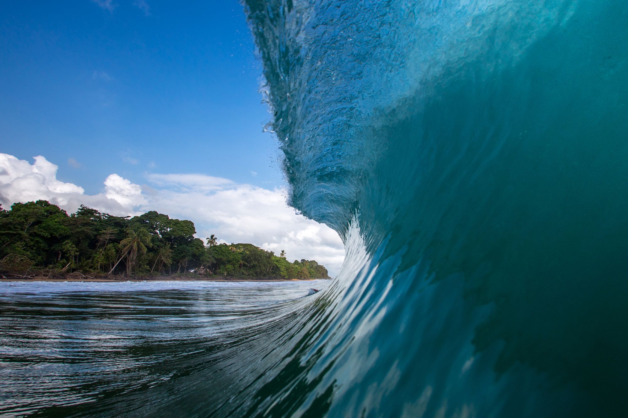 Barrel in Bocas Del Toro, Panama