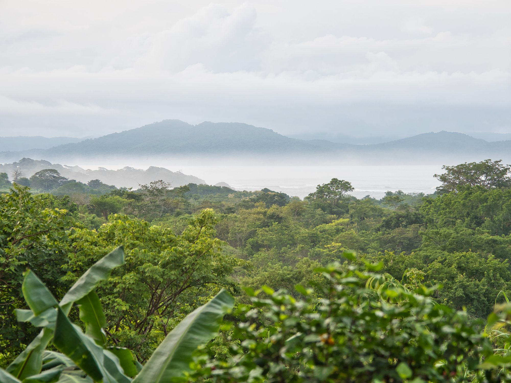 panama, one of the best surf destinations in august