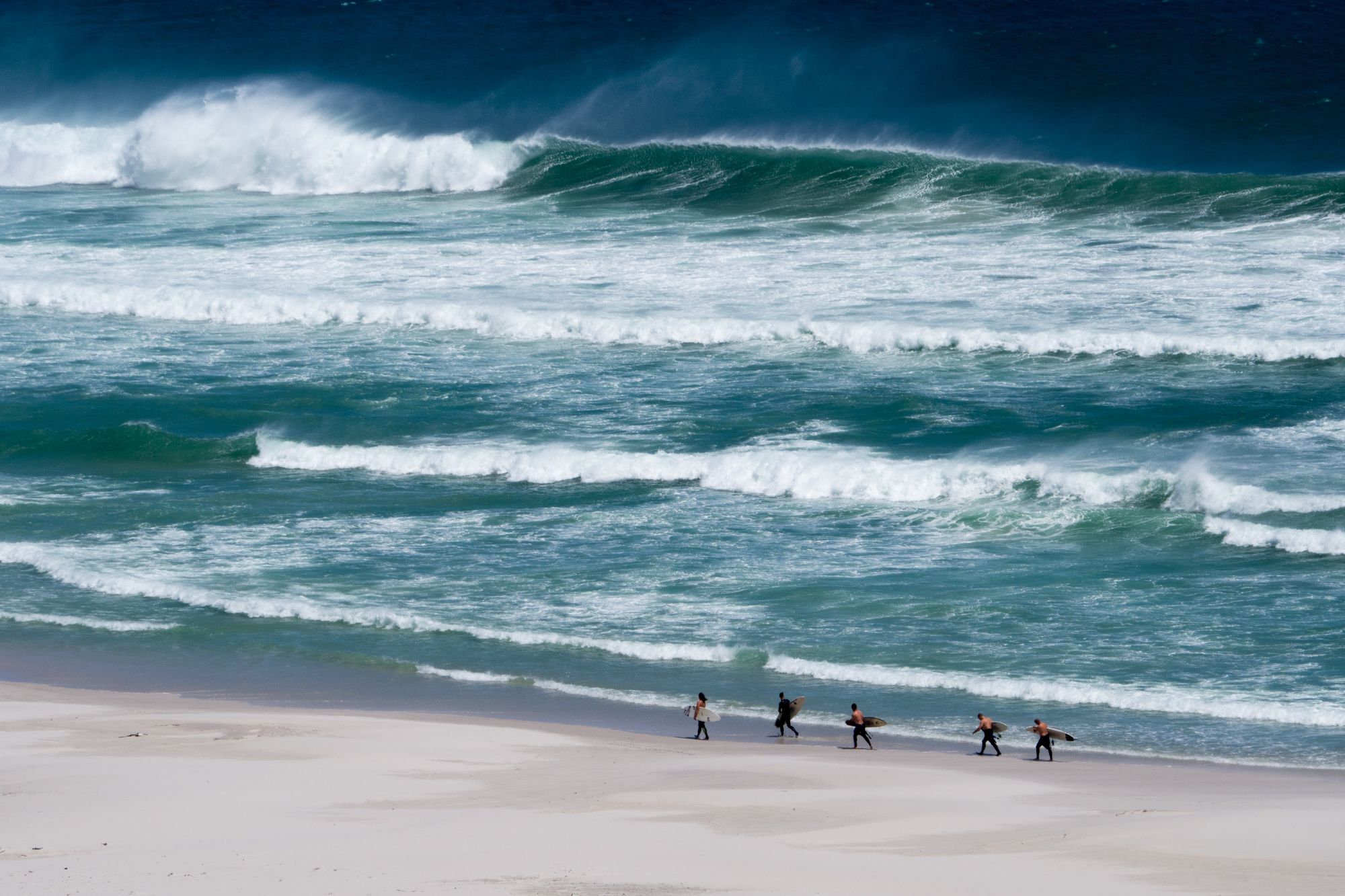surfers walking on a beach in south africa, one of the world's most consistent surf destinations