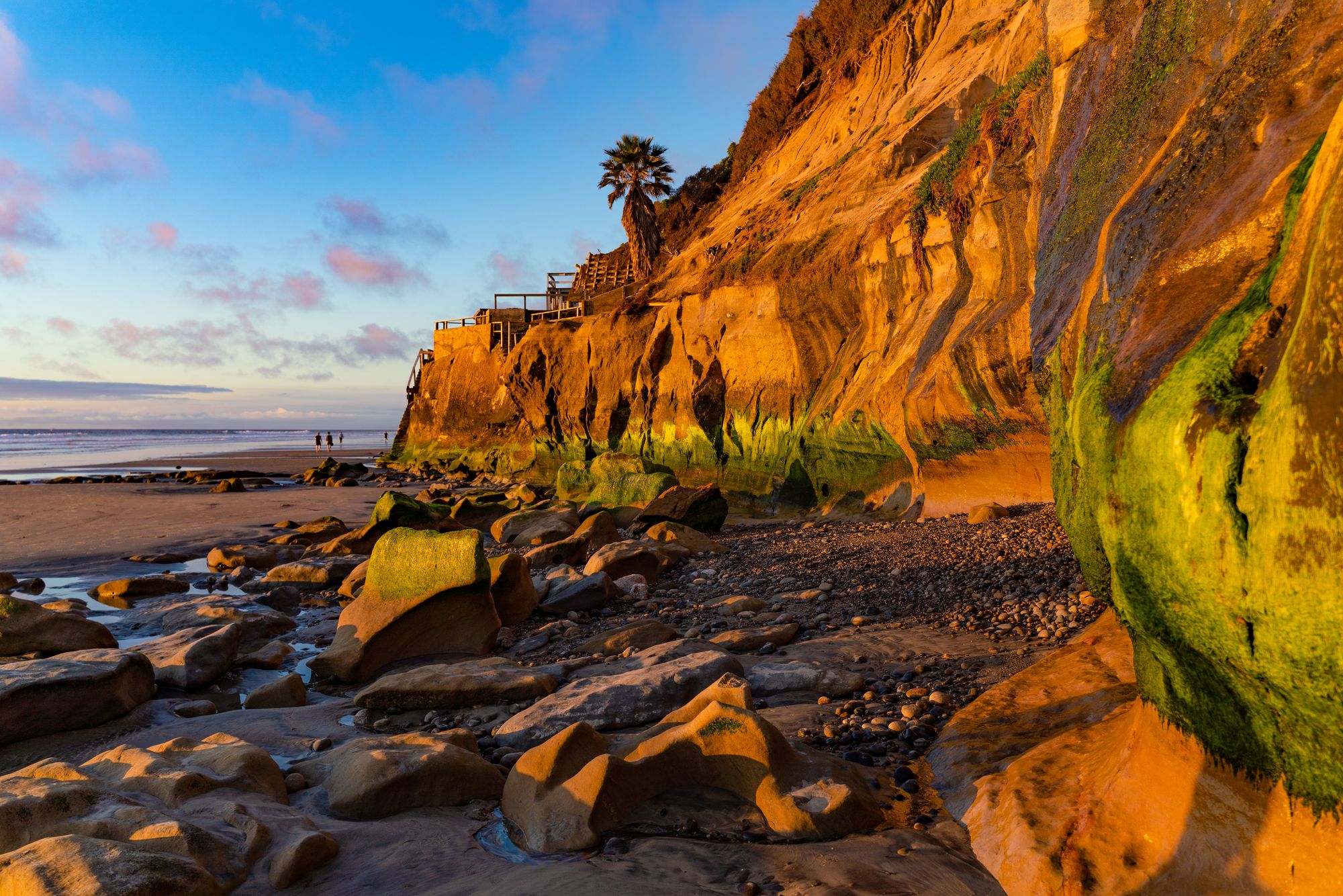 So Cal's Surf Essentials