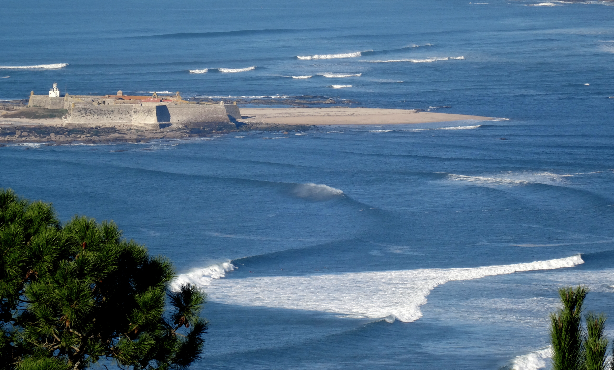 Local Currents with João from Easy Life, Portugal