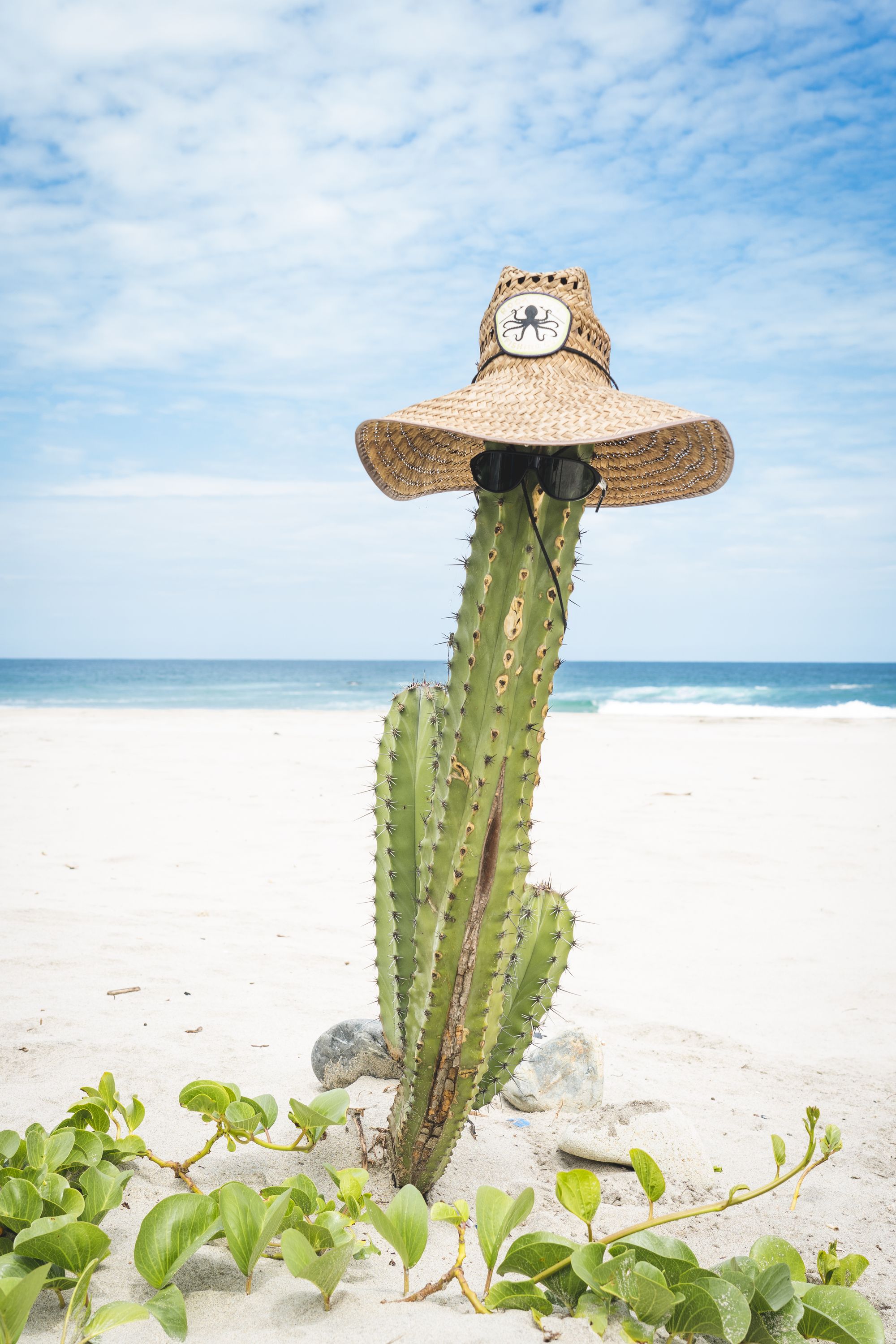 On Location: Oaxaca, Mexico