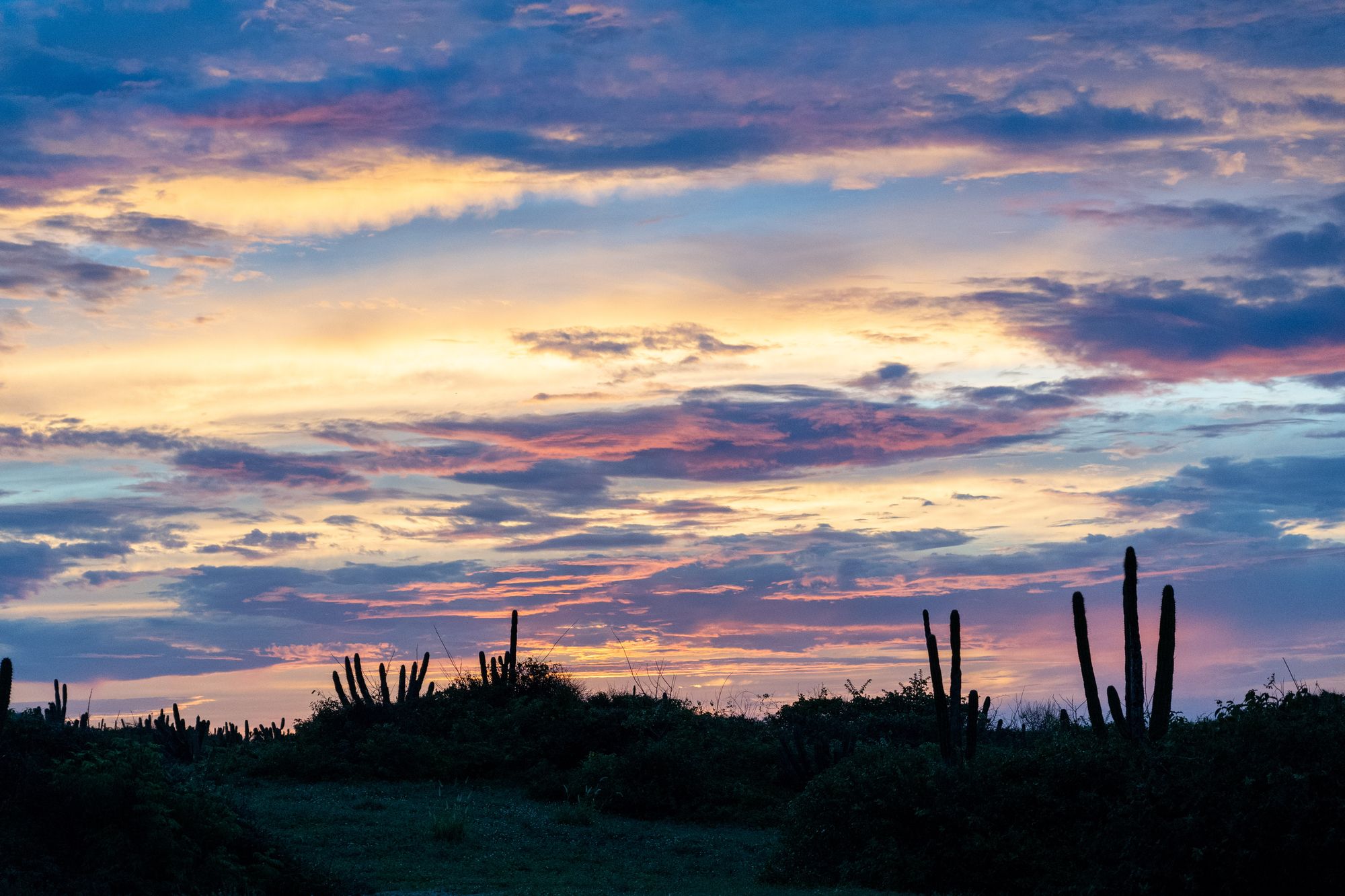 Local Currents with Oaxaca's Hidden Gem, Pablo Narvaez