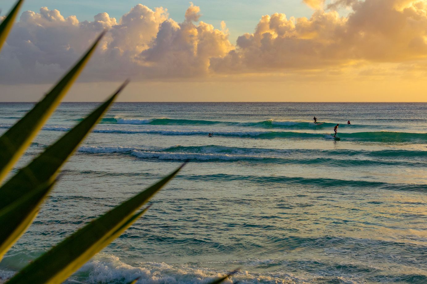 Surfers enjoying the warm waters of Barbados as the sun sets on this amazing surf destination in the Caribbean
